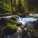 Mountain Rock - Luxury Retreat At Kvacianska Dolina Σαλέ *