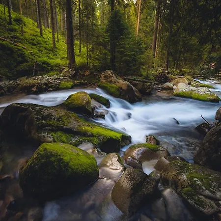 Mountain Rock - Luxury Retreat At Kvacianska Dolina シャレー *