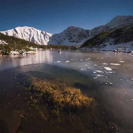 Mountain Rock - Luxury Retreat At Kvacianska Dolina シャレー