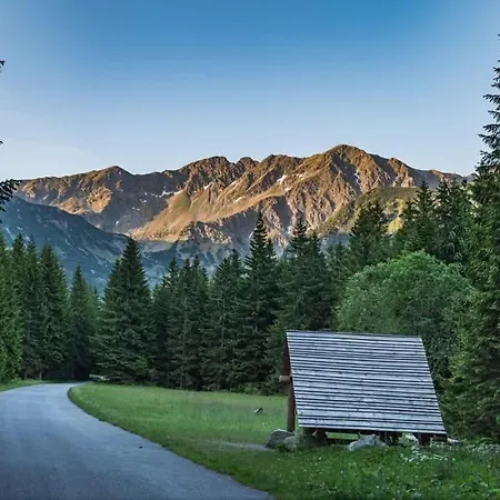 Mountain Rock - Luxury Retreat At Kvacianska Dolina *