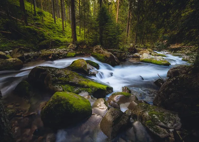 Mountain Rock - Luxury Retreat At Kvacianska Dolina בקתה *