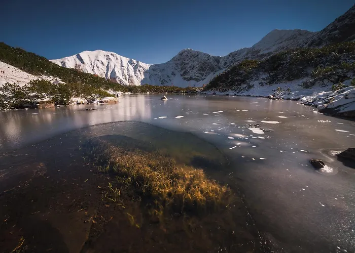Mountain Rock - Luxury Retreat At Kvacianska Dolina בקתה
