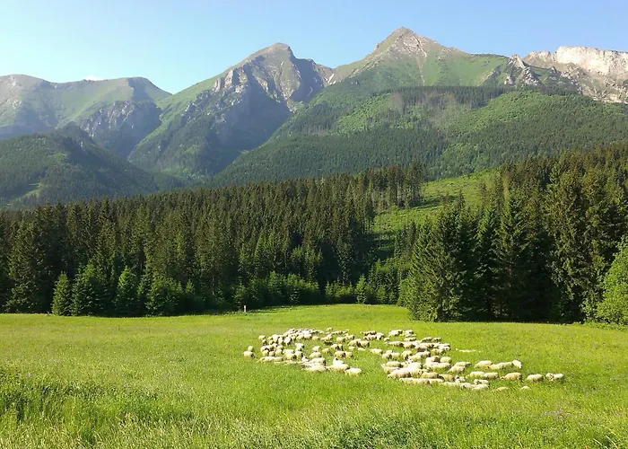 Mountain Rock - Luxury Retreat At Kvacianska Dolina Chalet